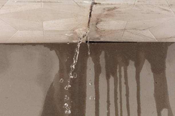 Professional Sewage Cleanup technician working in Newcastle, UT
